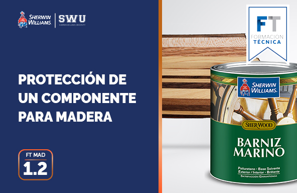 FT MAD 1.2: PROTECCIÓN DE UN COMPONENTE PARA MADERA