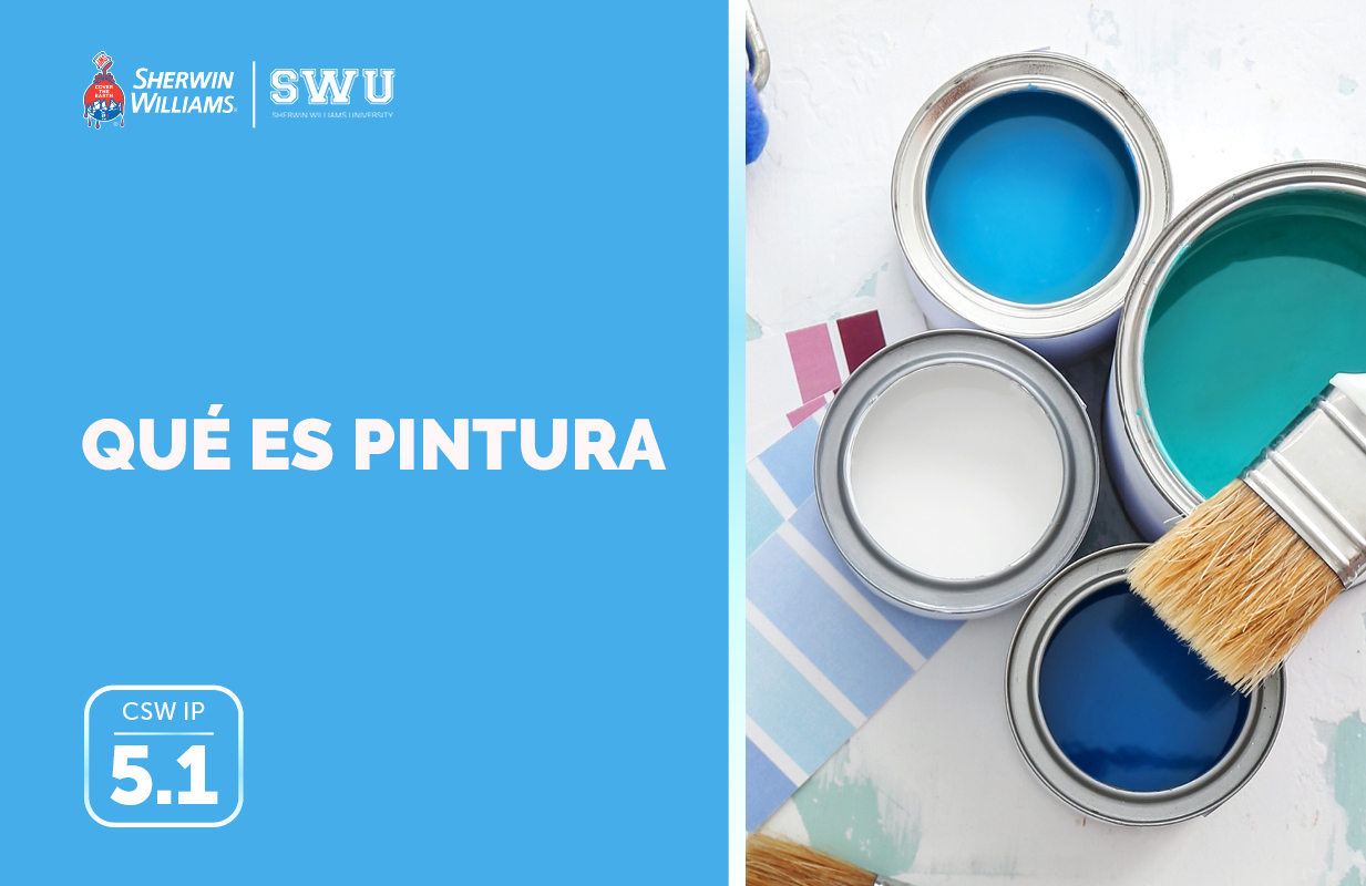 CSW IP 5.1: QUÉ ES PINTURA